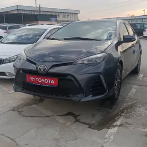 Toyota Corolla, 2019