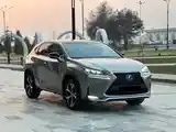 Lexus NX series, 2019-14