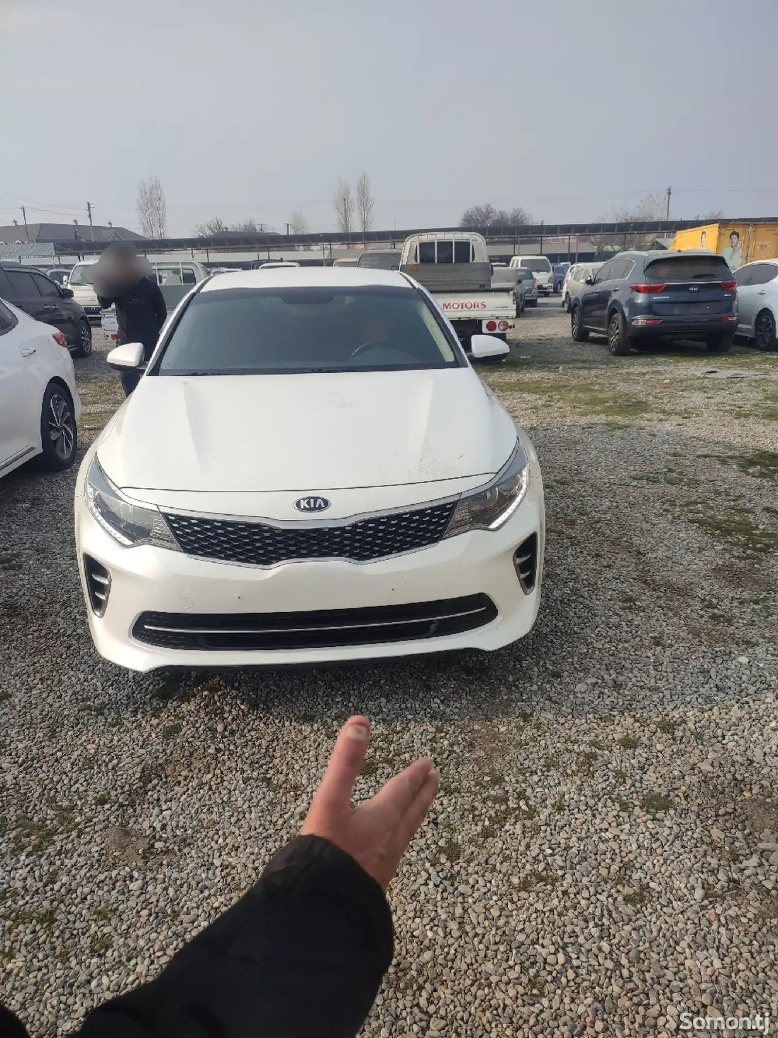 Kia K5, 2017-1