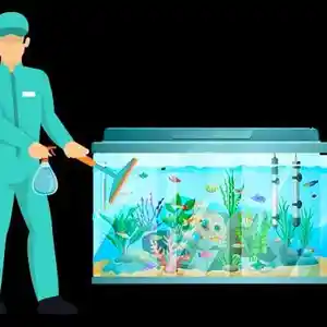 Чистка и обслуживание аквариумов