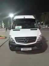 Пассажирские перевозки на Mercedes Benz Sprinter-8