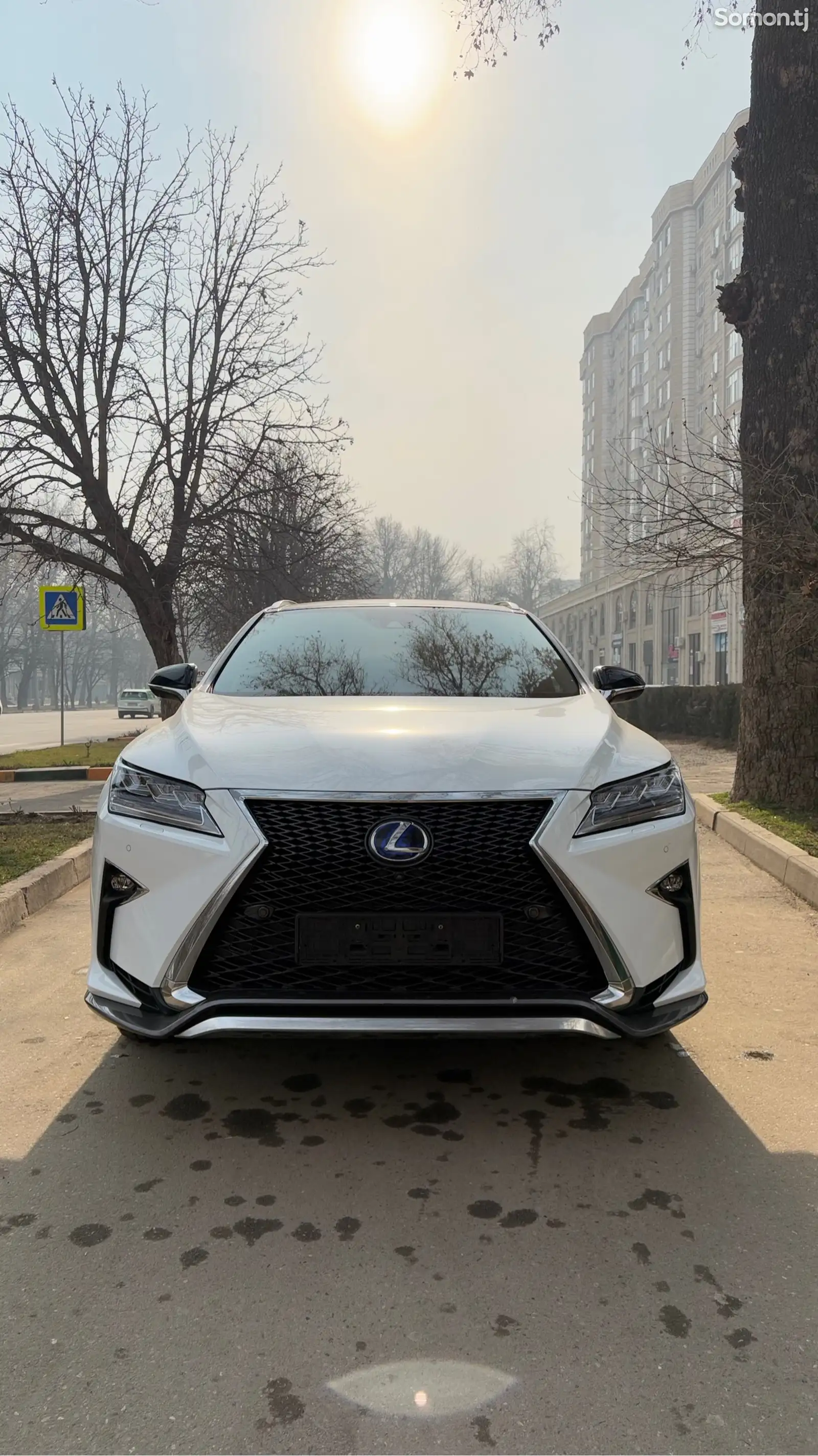 Lexus RX series, 2019-1