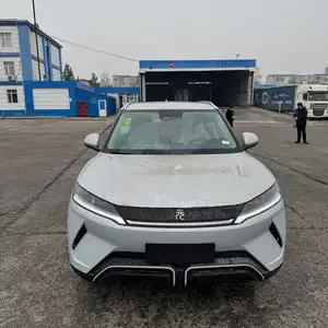 BYD Yuan Up, 2024