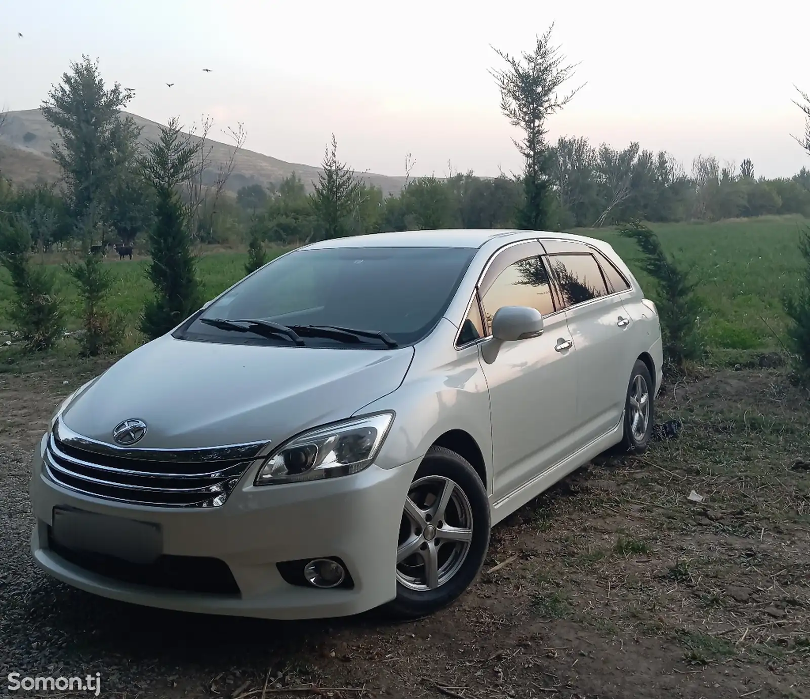 Toyota Mark X ZiO, 2009-1