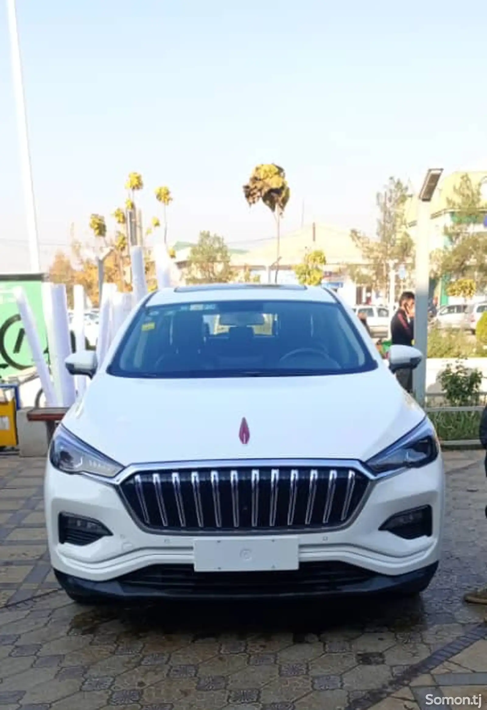 Hongqi E-HS3, 2019-1