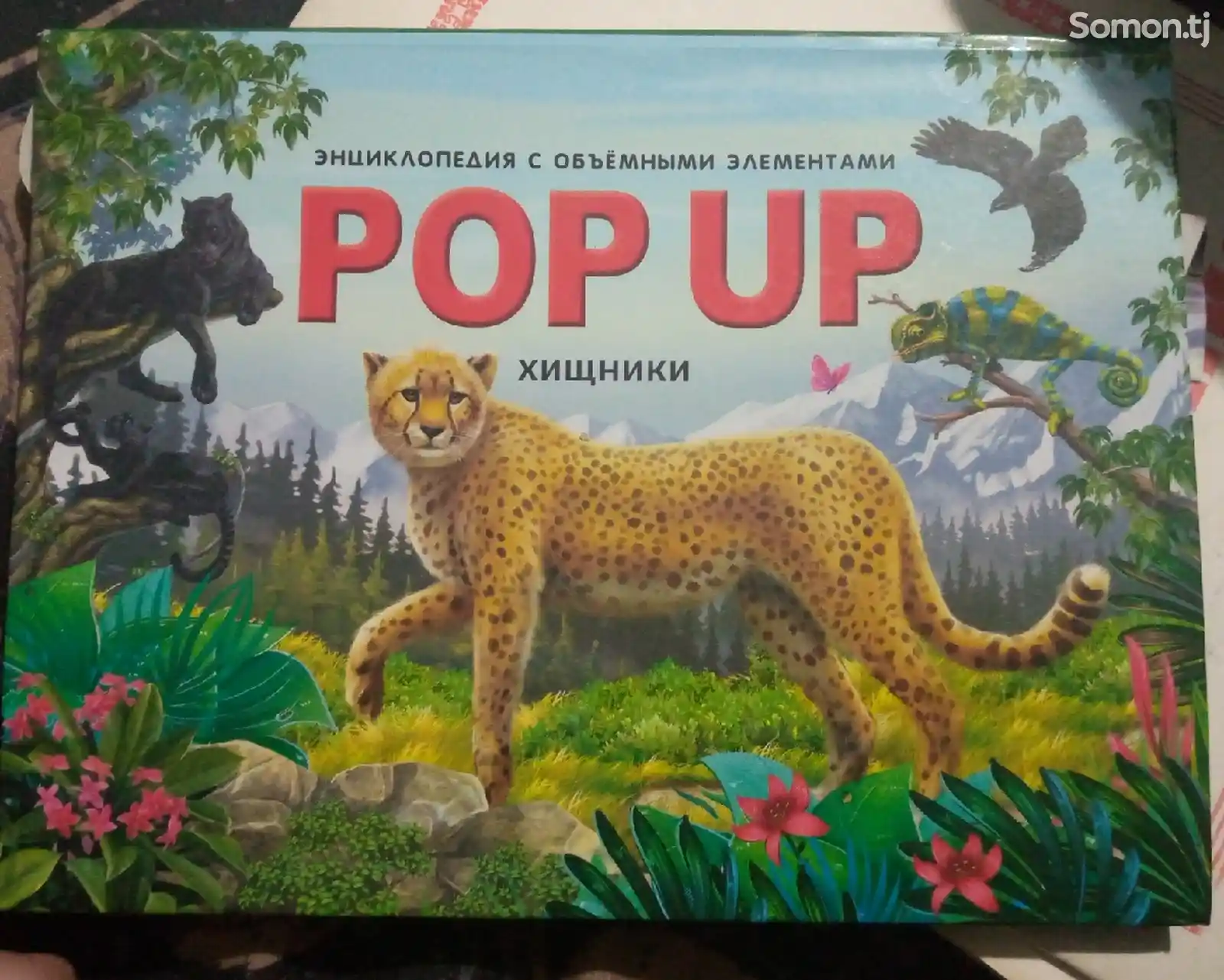 Книга Энциклопедия РОР UP-1