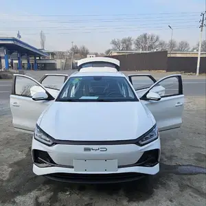 BYD B2, 2024