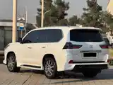 Lexus LX series, 2019-5