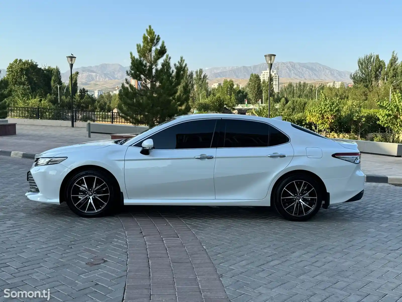 Toyota Camry, 2019-3