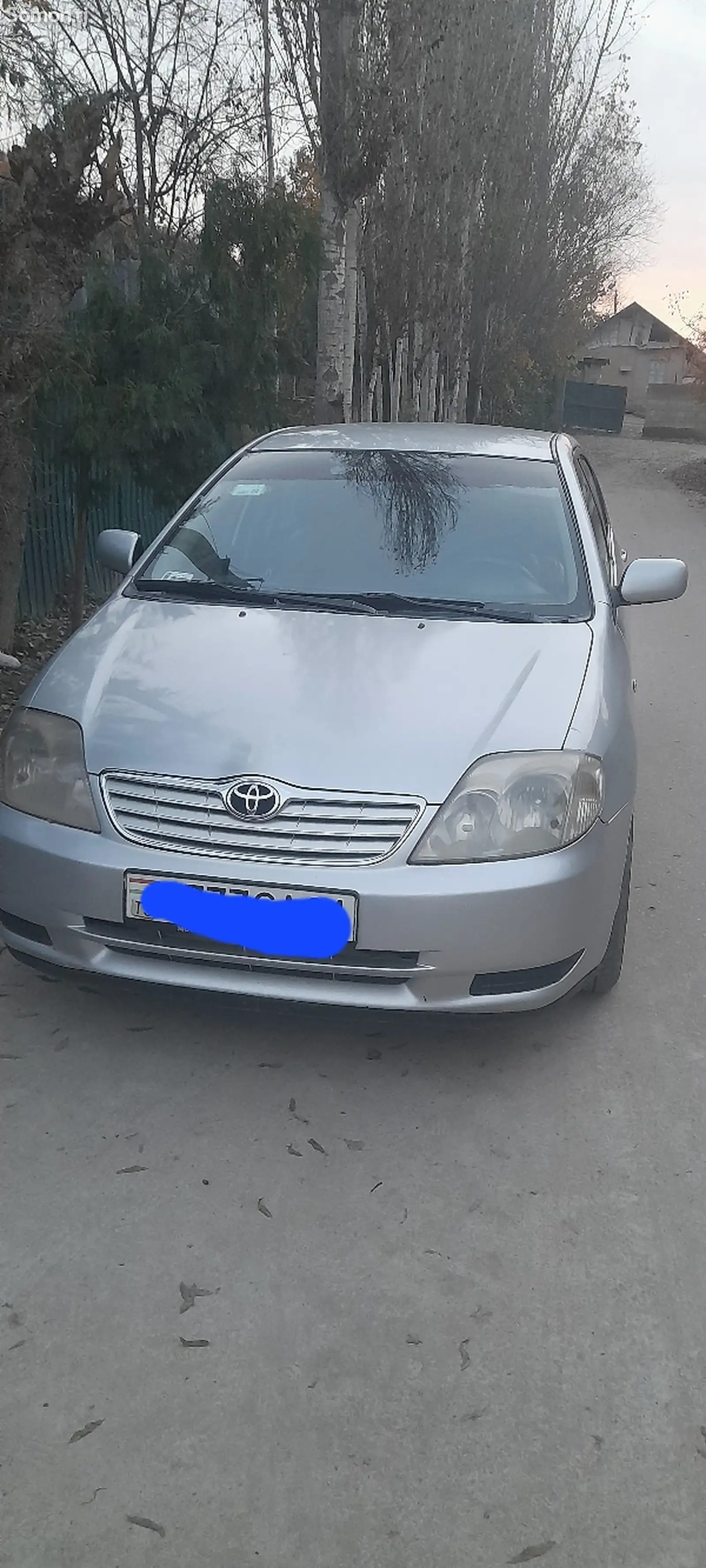 Toyota Corolla, 2005-1