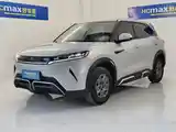 BYD Yuan Up, 2024-2