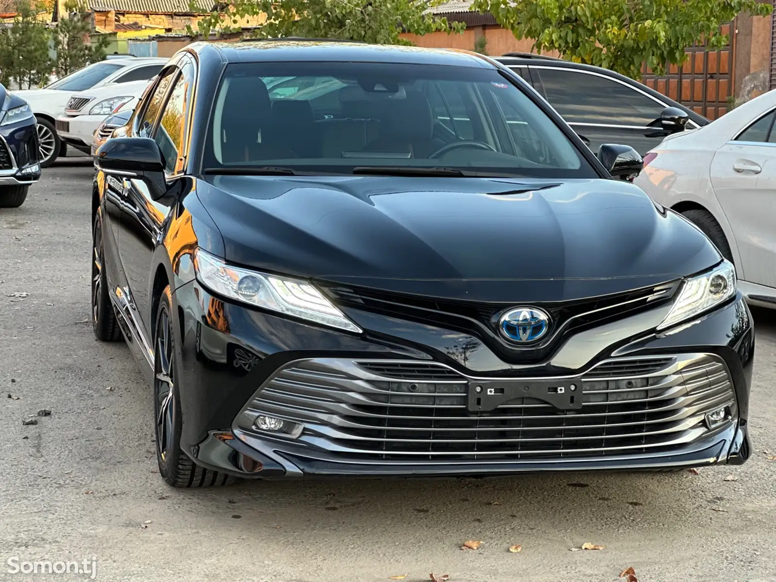 Toyota Camry, 2019-1