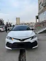 Toyota Camry, 2019-3