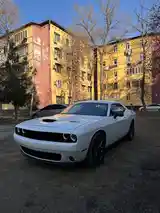 Dodge Challenger, 2019-2