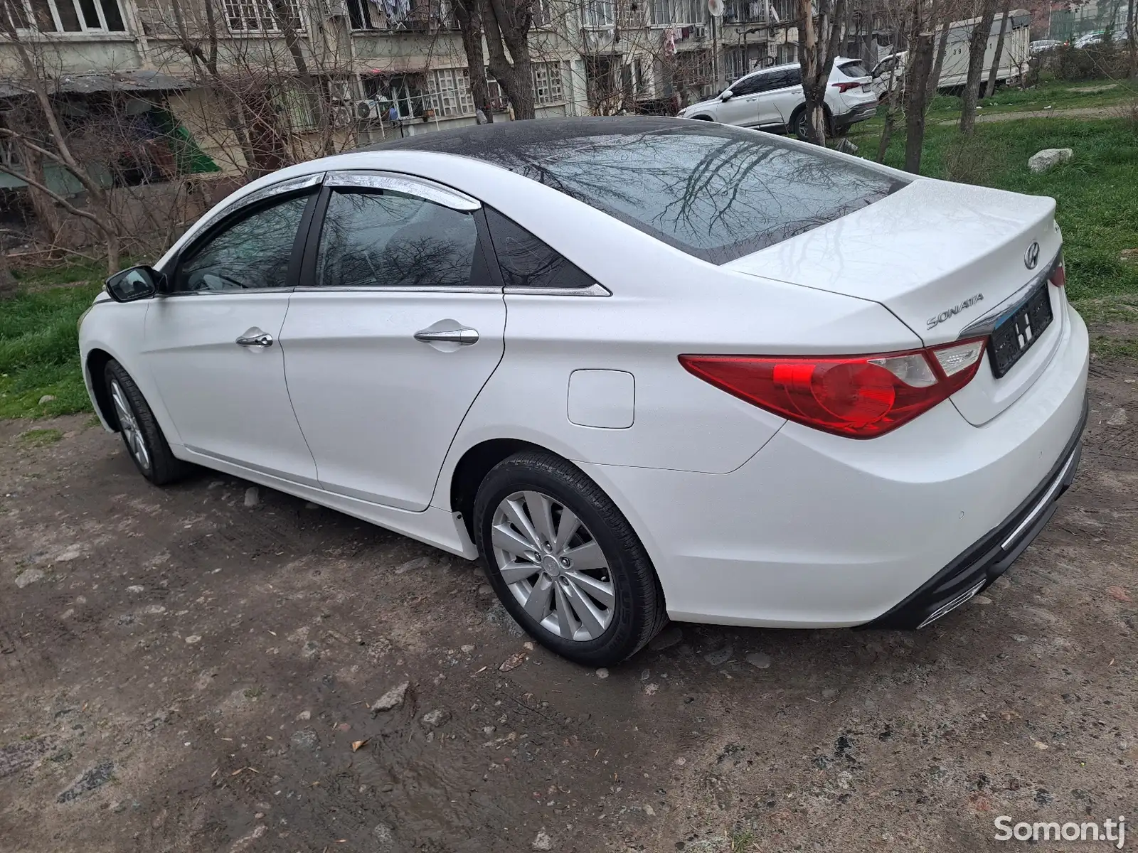 Hyundai Sonata, 2010-1