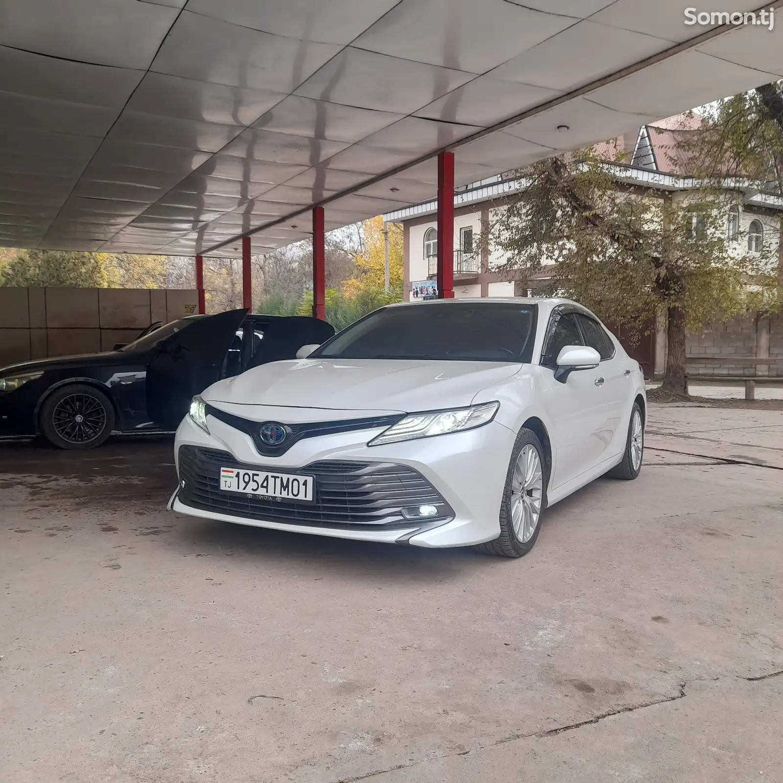 Toyota Camry, 2020-1