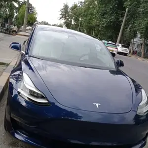 Tesla Model 3, 2020