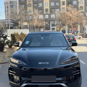 BYD Song Plus Flagship, 2024