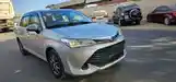 Toyota Fielder, 2018-4