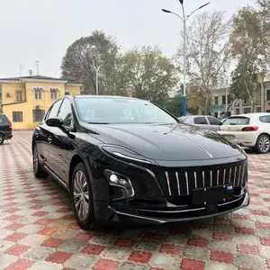 Hongqi E-QM5, 2024