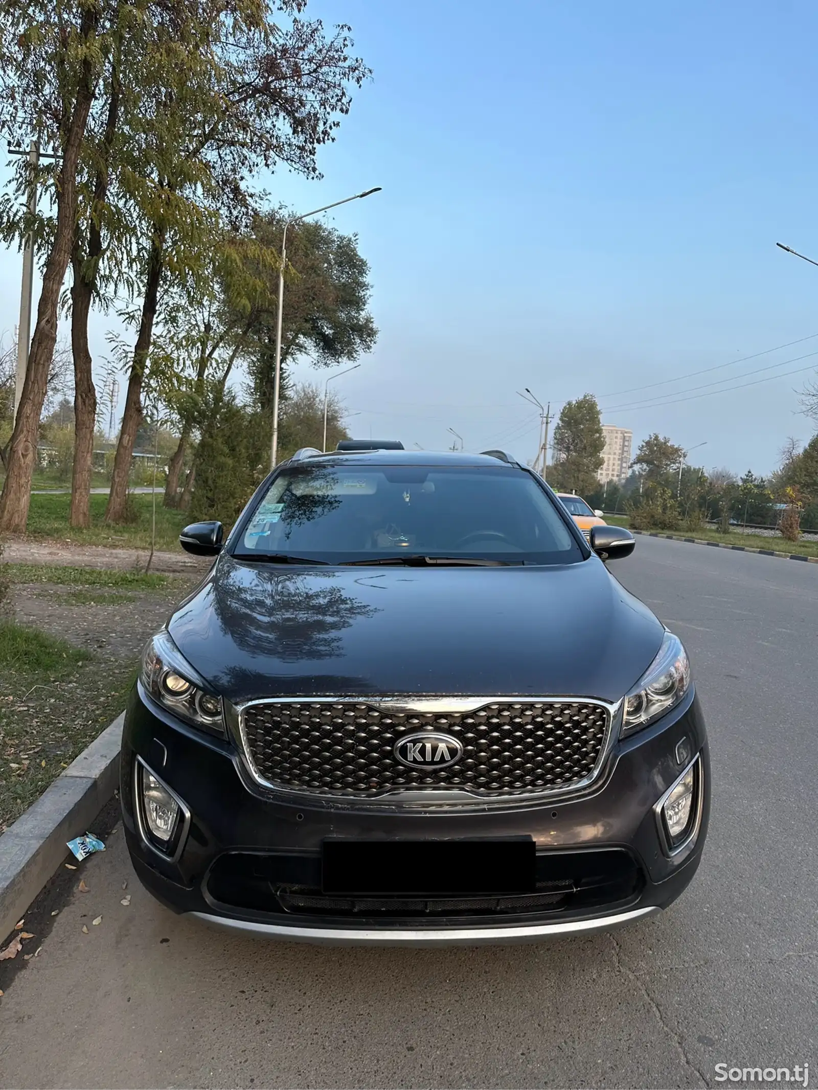 Kia Sorento, 2017-1