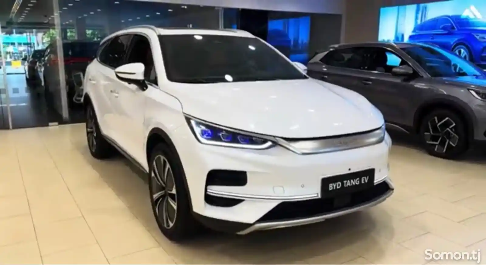 BYD Tang, 2024 на заказ-2