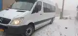 Пассажирский Mercedes-Benz Sprinter, 2008-2