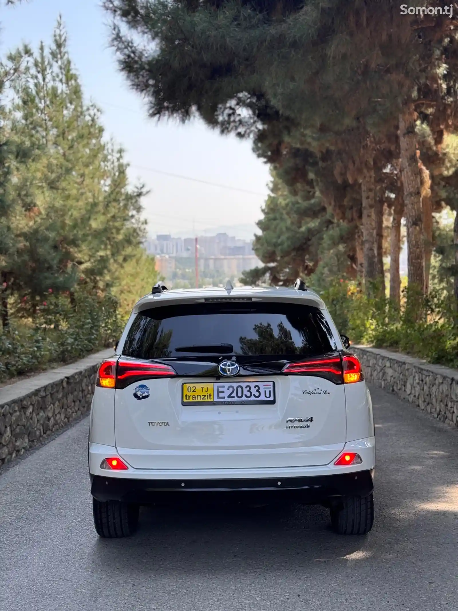 Toyota RAV 4, 2019-4