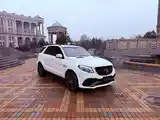 Mercedes-Benz GLE class, 2017-3