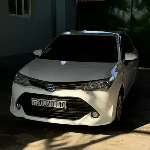 Toyota Axio, 2016