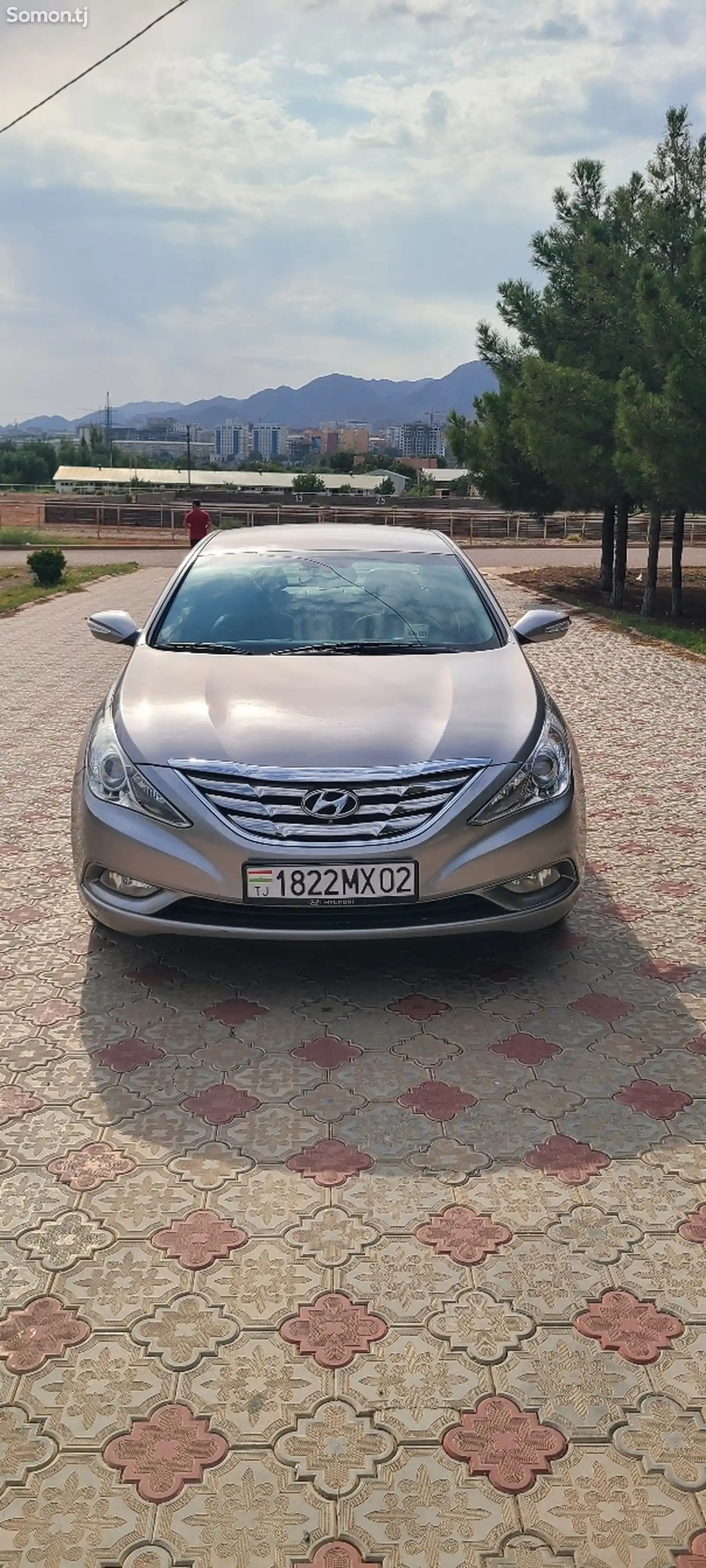 Hyundai Sonata, 2010-1