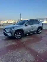 Toyota RAV 4, 2020-4