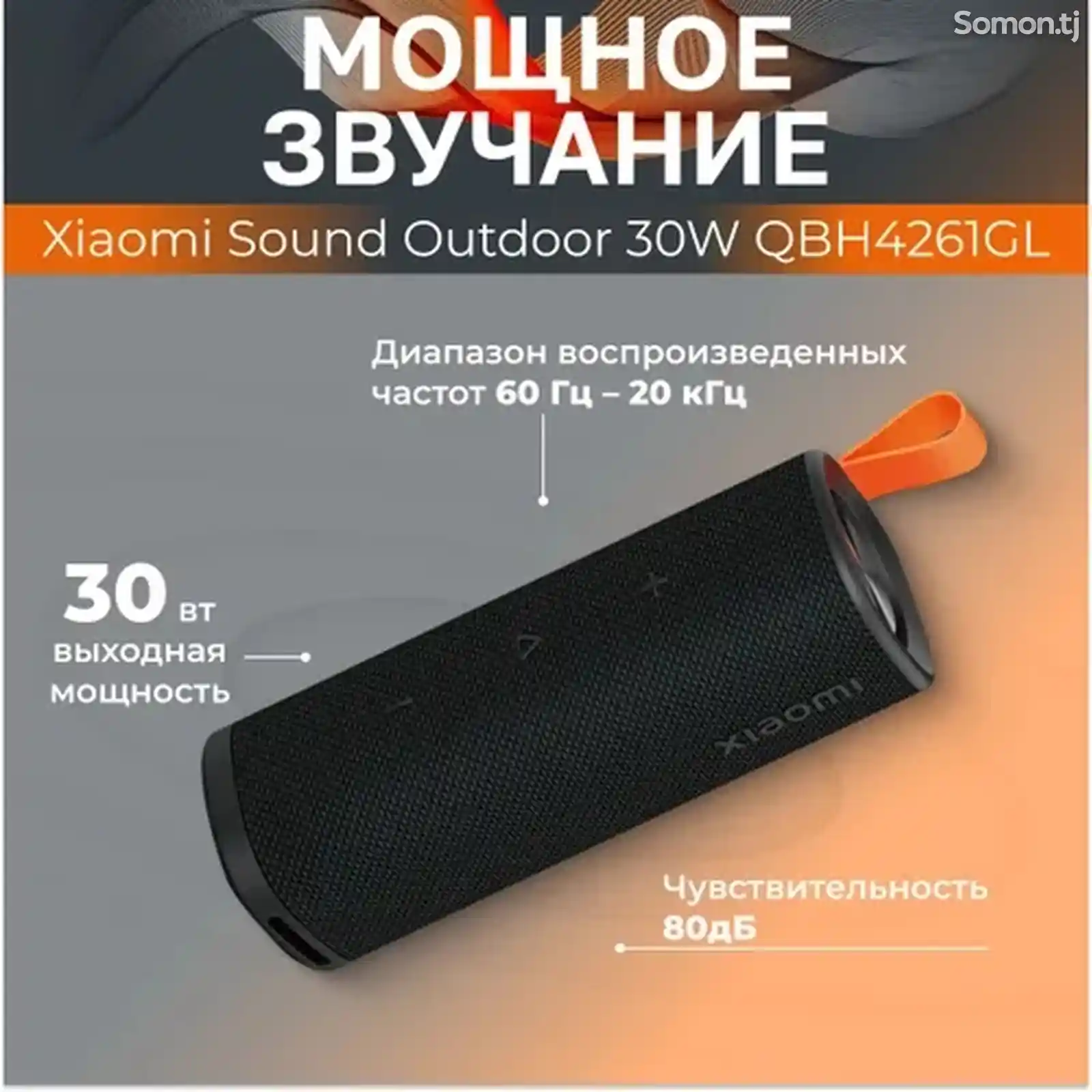 Колонка Xiaomi Sound Outdoor 30W-3