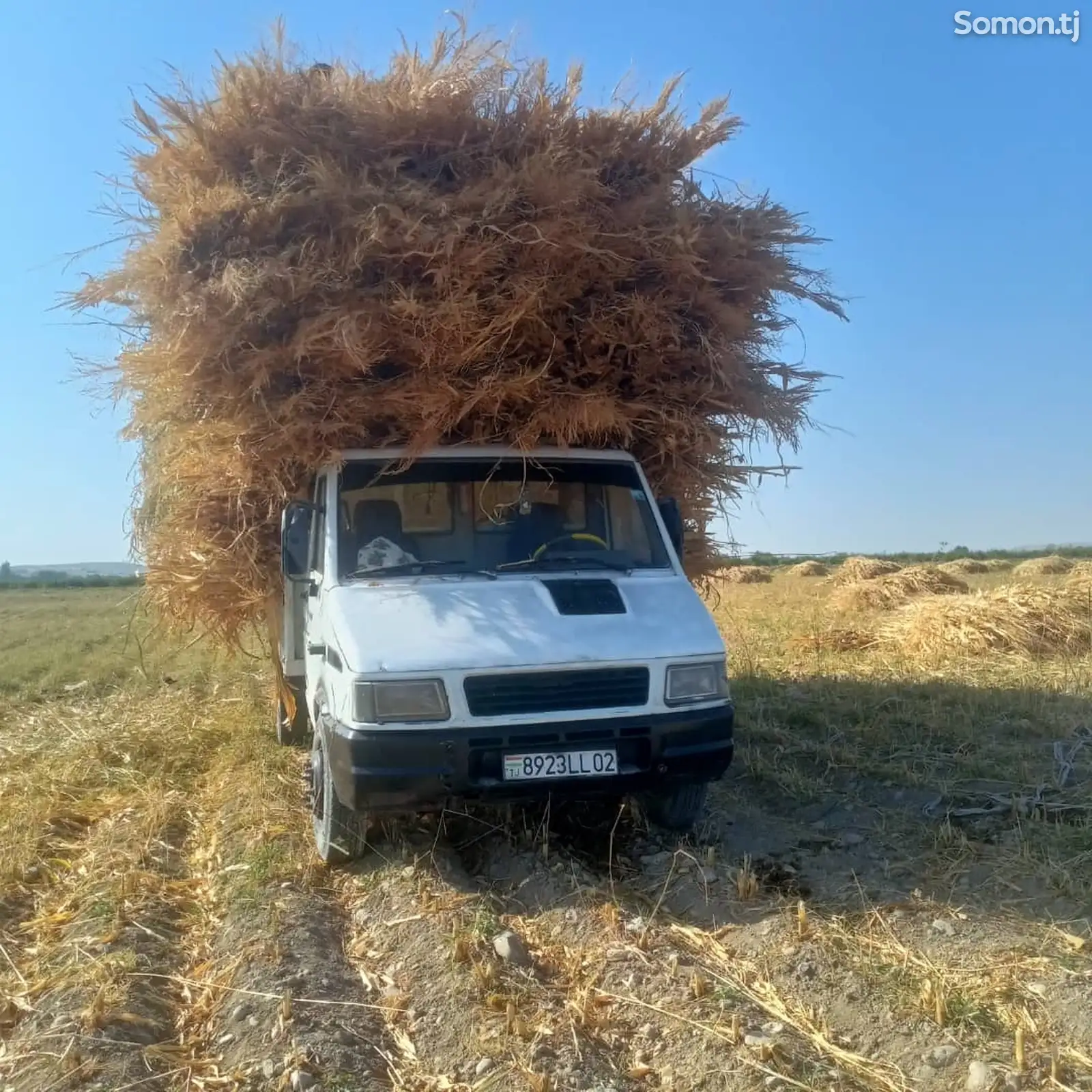 Бортовой автомобиль самосвал Iveco Daily, 1996-1