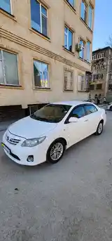 Toyota Corolla, 2010-2