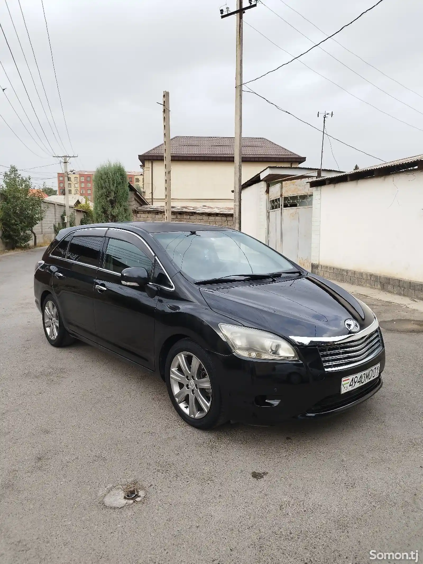 Toyota Mark X ZiO, 2008-1