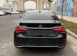 Lexus ES series, 2019-2