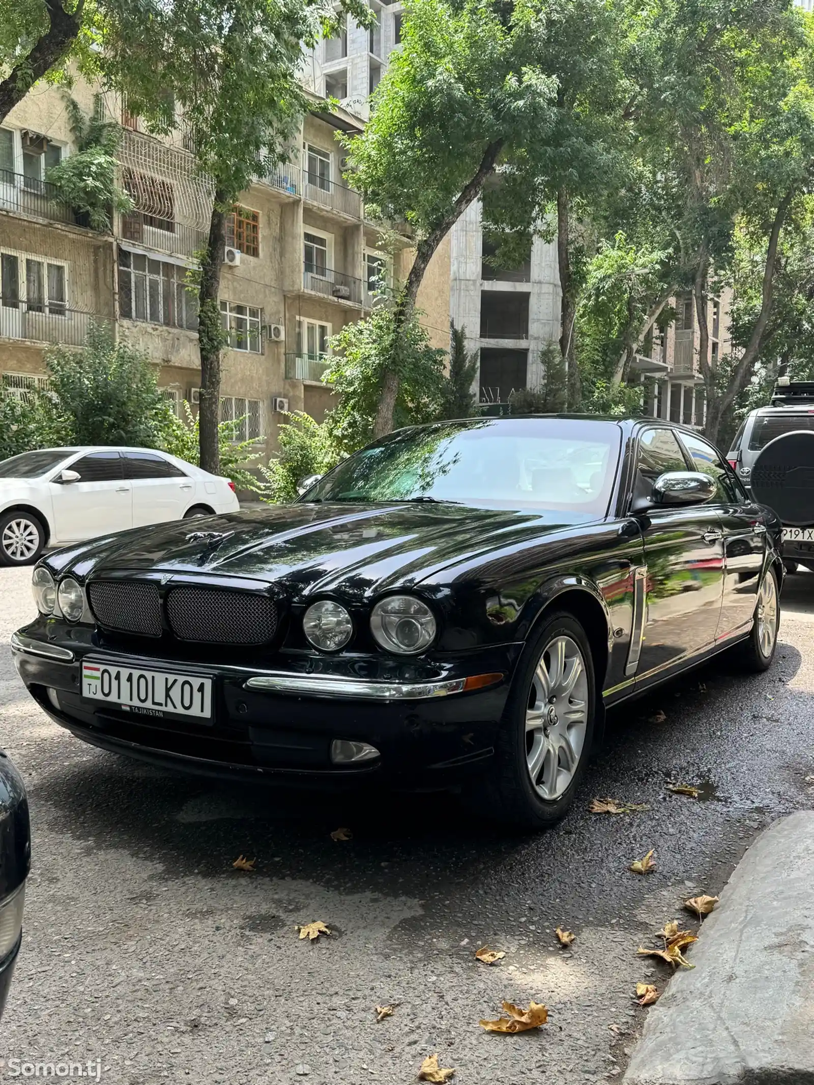 Jaguar, 2008-1