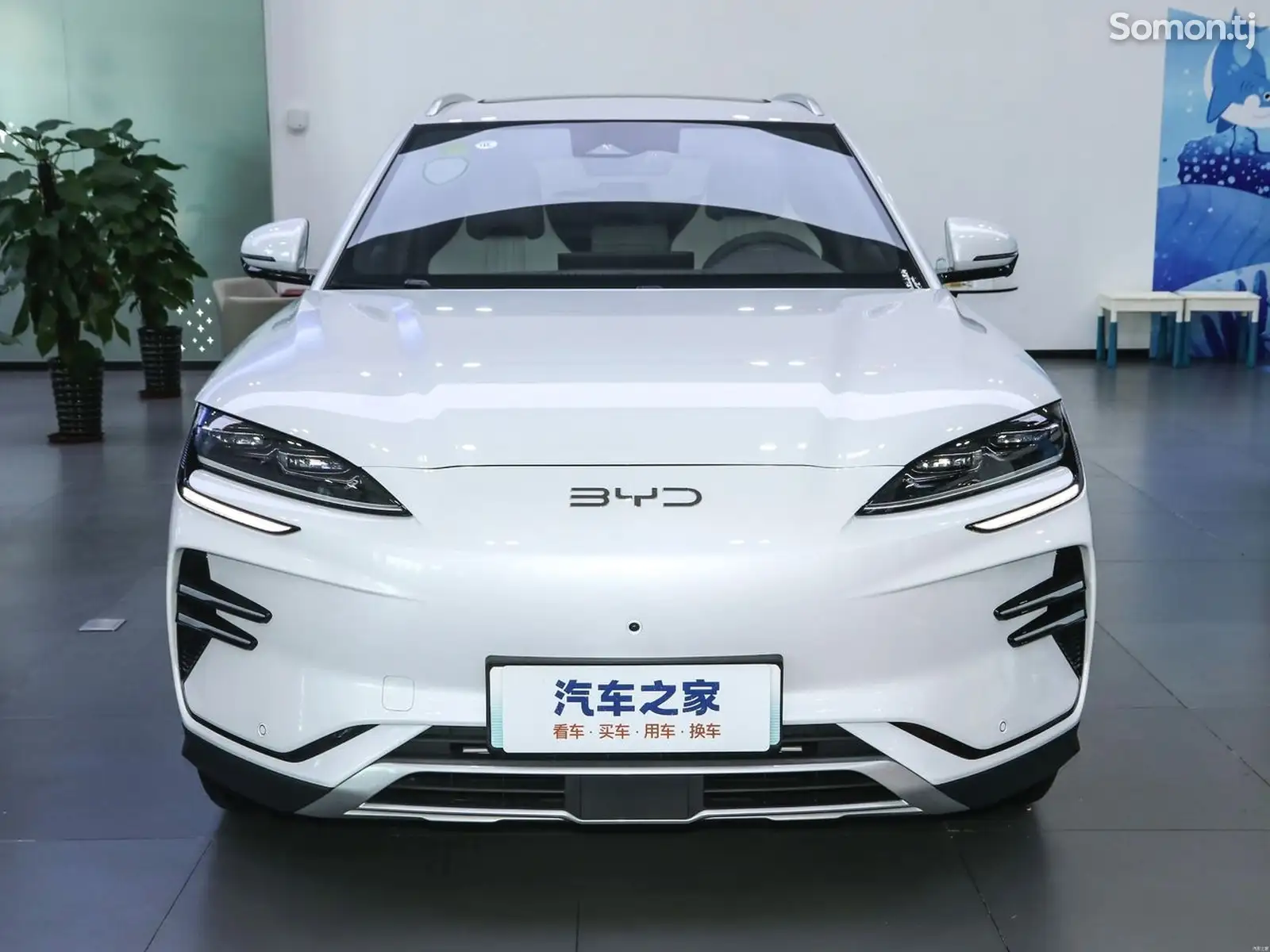 BYD Song Plus Flagship, 2024-1