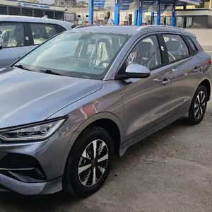 BYD B2, 2024