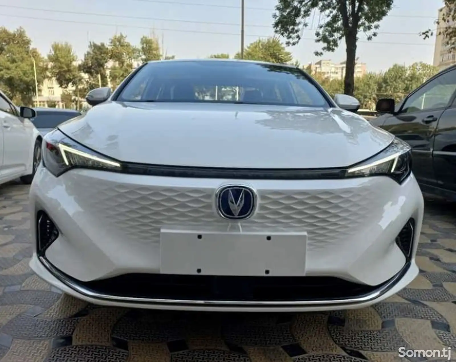 Changan Eado, 2024-1