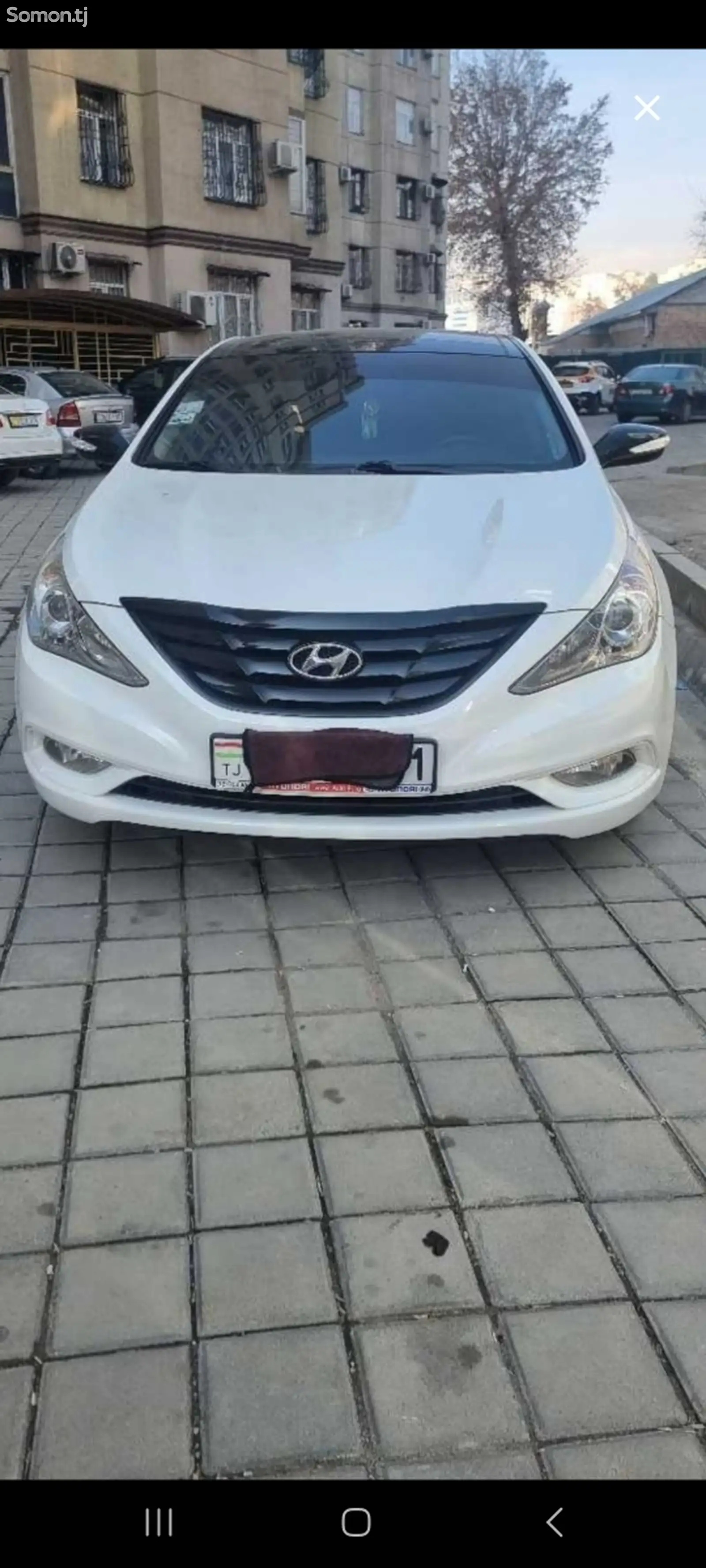 Hyundai Sonata, 2010-1