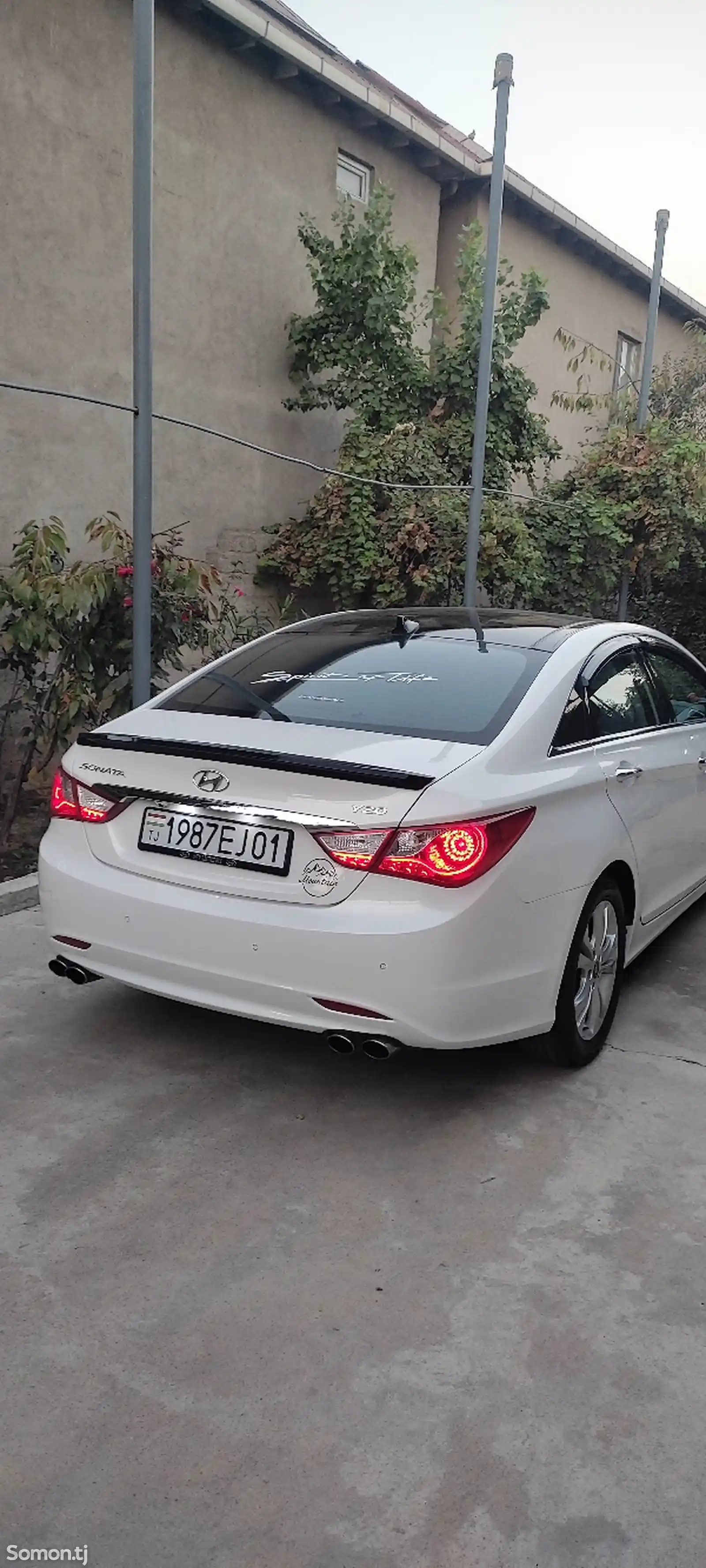 Hyundai Sonata, 2010-1