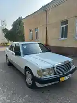 Mercedes-Benz W201, 1991-3