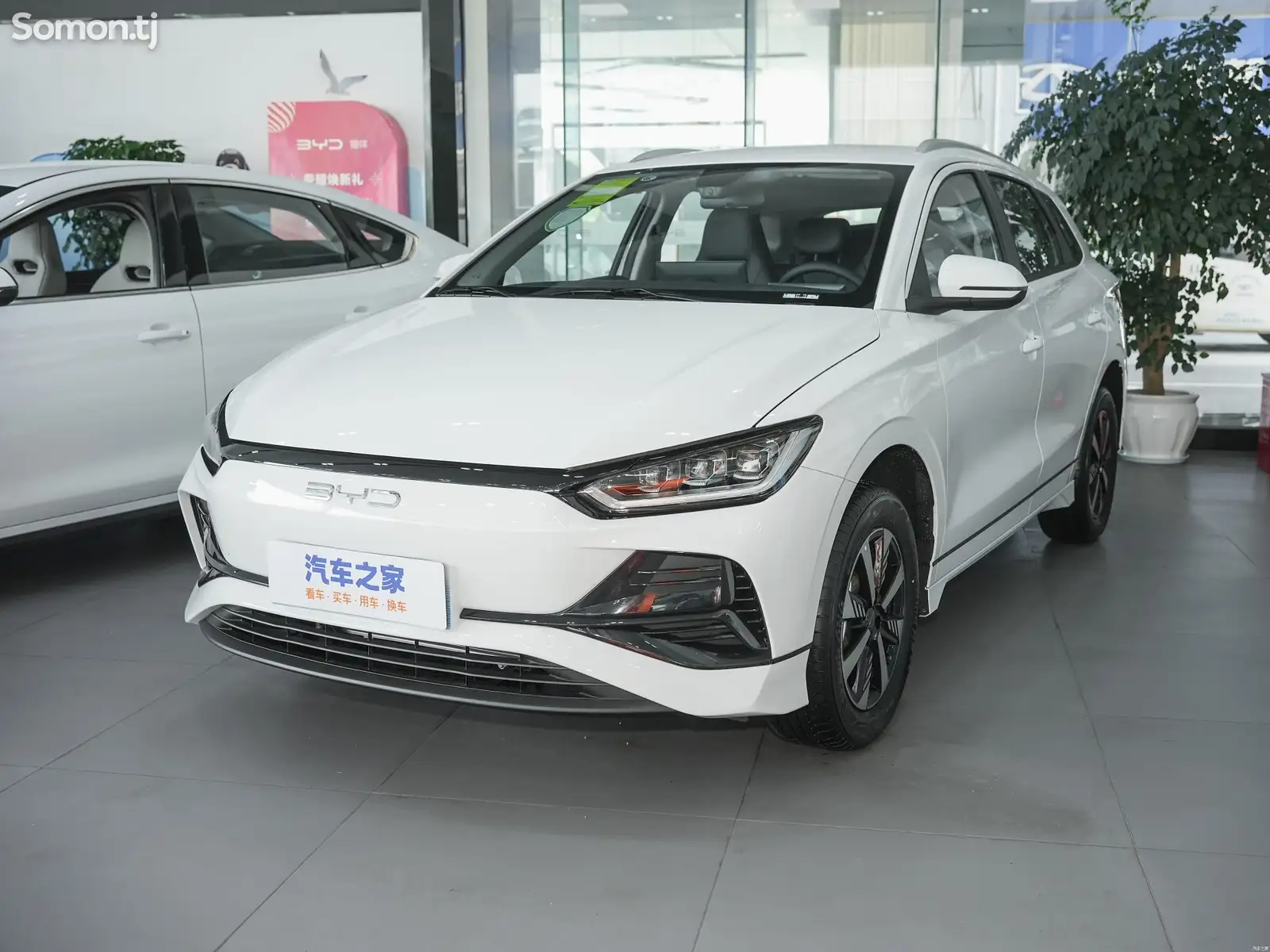 BYD E2, 2024-1