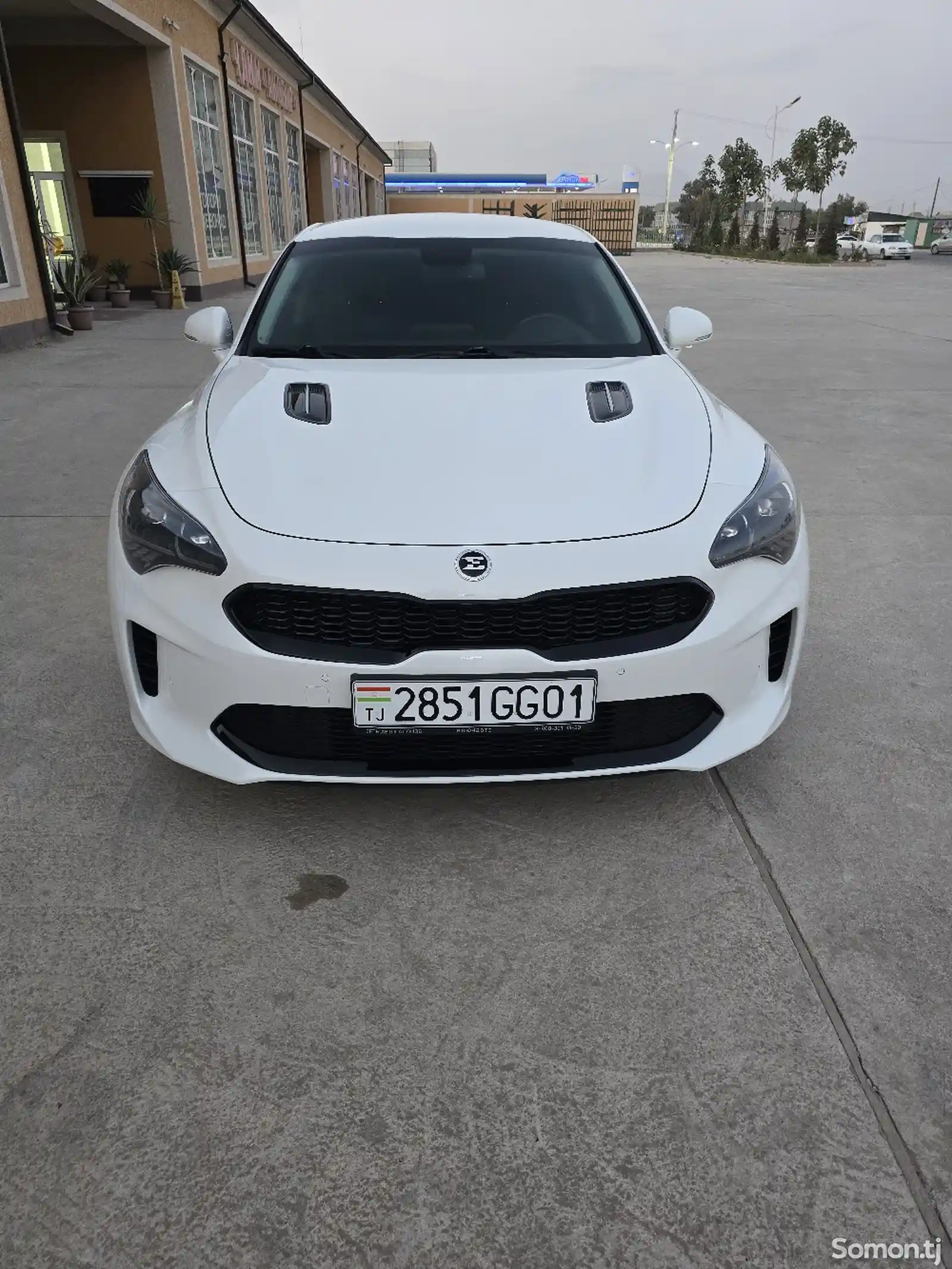 Kia Stinger, 2019-10