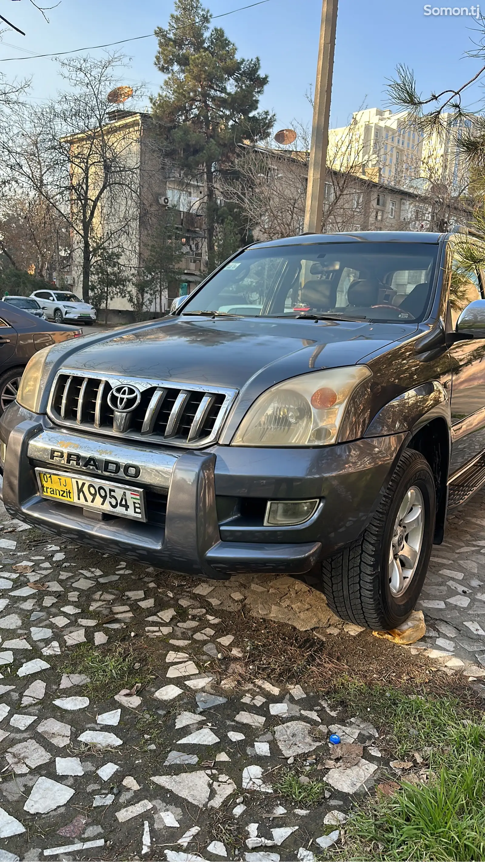 Toyota Land Cruiser Prado, 2007-1