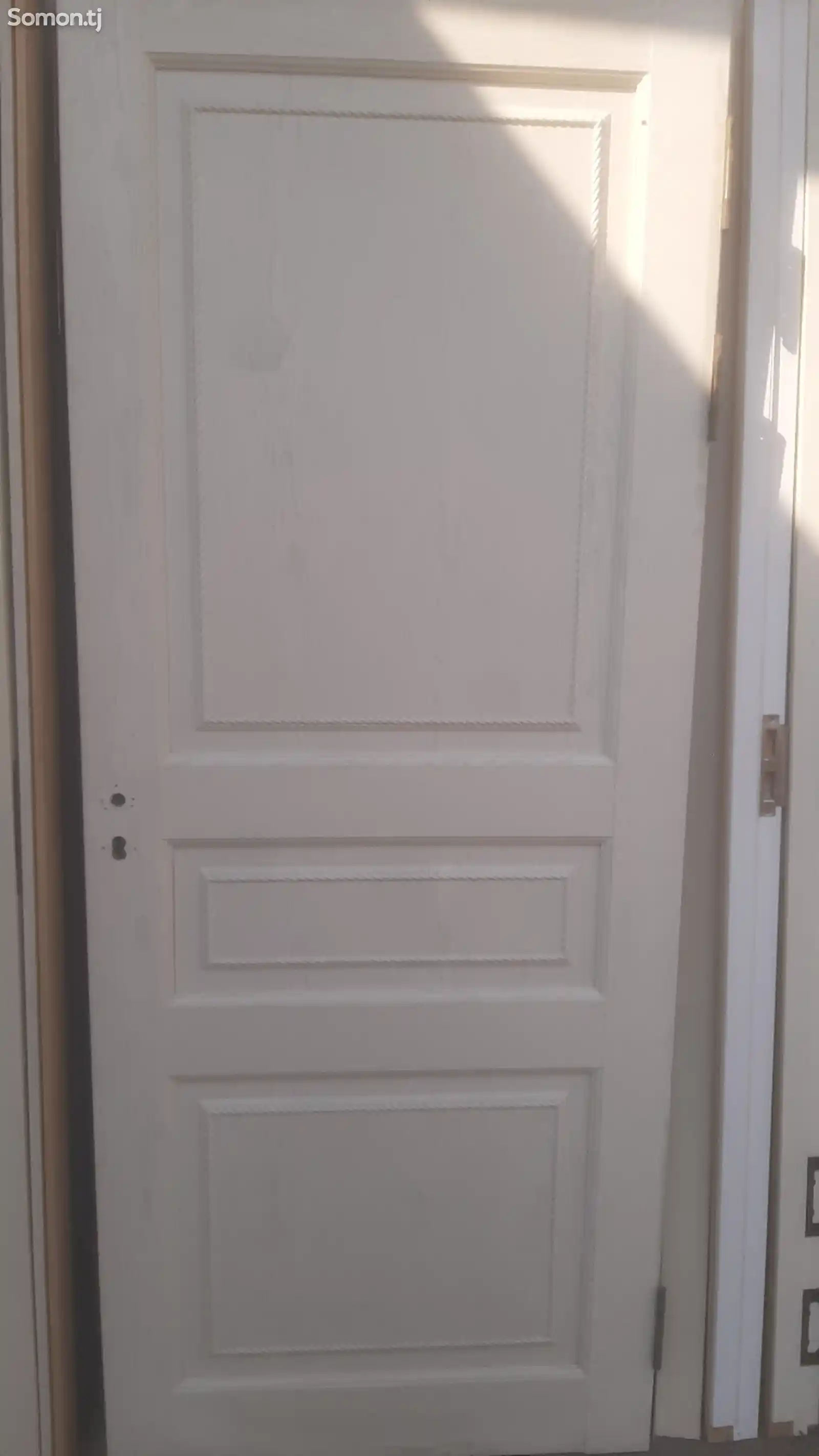Дверь-3