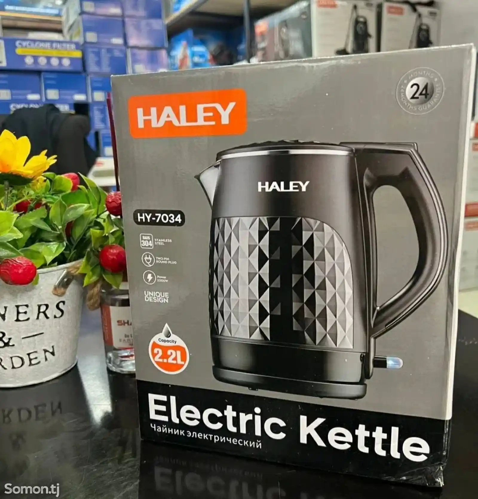 Электронный чайник Haley-1