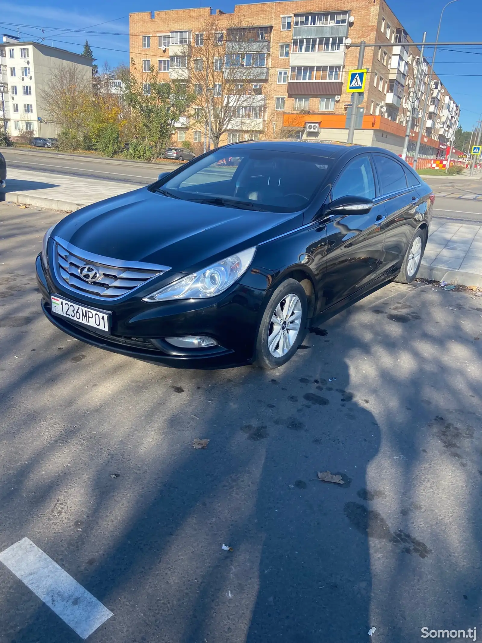 Hyundai Sonata, 2010-1